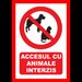 Placuta accesul cu animale interzis